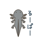 うぱまみれ（個別スタンプ：40）