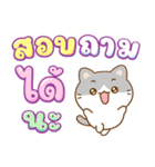 ちいねこ：宝くじ売り子（個別スタンプ：4）