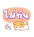 ちいねこ：宝くじ売り子（個別スタンプ：16）
