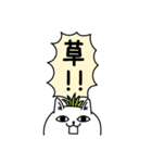じろりねこダジャレの感情（個別スタンプ：10）