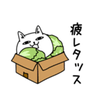 じろりねこダジャレの感情（個別スタンプ：19）