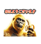 ✨再販【飛び出す】黄金イケメンゴリラ（個別スタンプ：13）