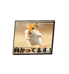 動くハムちゃん 日常（個別スタンプ：4）