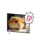 動くハムちゃん 日常（個別スタンプ：6）