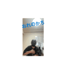 かわはぎのスタンプ1（個別スタンプ：10）