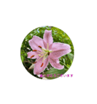 花と水（個別スタンプ：1）