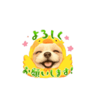 ぷうちゃんの遊んでスタンプ（個別スタンプ：8）