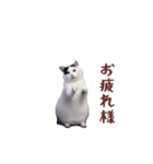 動く！踊る猫ミーム(パート26)（個別スタンプ：1）