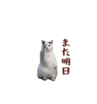 動く！踊る猫ミーム(パート26)（個別スタンプ：3）