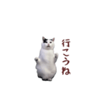 動く！踊る猫ミーム(パート26)（個別スタンプ：5）