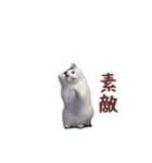 動く！踊る猫ミーム(パート26)（個別スタンプ：10）