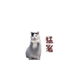 動く！踊る猫ミーム(パート26)（個別スタンプ：17）