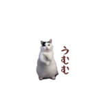 動く！踊る猫ミーム(パート26)（個別スタンプ：20）