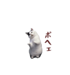 動く！踊る猫ミーム(パート26)（個別スタンプ：21）