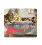 おちょらスタンプ No.2（個別スタンプ：4）