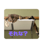 おちょらスタンプ No.2（個別スタンプ：7）