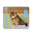 おちょらスタンプ No.2（個別スタンプ：8）