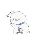 ビションさんと暮らす（個別スタンプ：5）