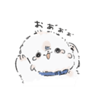 ビションさんと暮らす（個別スタンプ：7）