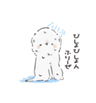 ビションさんと暮らす（個別スタンプ：11）