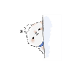 ビションさんと暮らす（個別スタンプ：21）