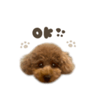エマちゃん♡るなちゃんスタンダード（個別スタンプ：4）