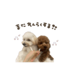 エマちゃん♡るなちゃんスタンダード（個別スタンプ：15）