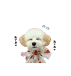 エマちゃん♡るなちゃんスタンダード（個別スタンプ：30）