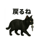 リアルな黒猫の日常表現LINEスタンプ（個別スタンプ：1）