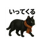 リアルな黒猫の日常表現LINEスタンプ（個別スタンプ：3）