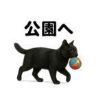 リアルな黒猫の日常表現LINEスタンプ（個別スタンプ：11）