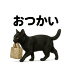 リアルな黒猫の日常表現LINEスタンプ（個別スタンプ：12）