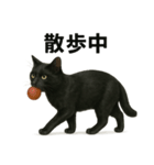 リアルな黒猫の日常表現LINEスタンプ（個別スタンプ：13）