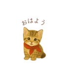 子猫のとらの日常スタンプ（個別スタンプ：1）