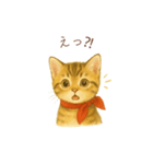 子猫のとらの日常スタンプ（個別スタンプ：3）