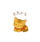 子猫のとらの日常スタンプ（個別スタンプ：7）