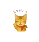 子猫のとらの日常スタンプ（個別スタンプ：8）