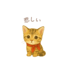 子猫のとらの日常スタンプ（個別スタンプ：9）