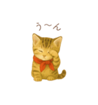 子猫のとらの日常スタンプ（個別スタンプ：12）