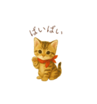 子猫のとらの日常スタンプ（個別スタンプ：14）