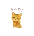 子猫のとらの日常スタンプ（個別スタンプ：15）
