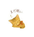 子猫のとらの日常スタンプ（個別スタンプ：16）