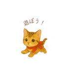 子猫のとらの日常スタンプ（個別スタンプ：17）