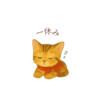 子猫のとらの日常スタンプ（個別スタンプ：20）