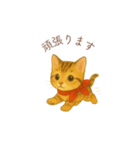 子猫のとらの日常スタンプ（個別スタンプ：23）