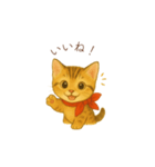 子猫のとらの日常スタンプ（個別スタンプ：24）