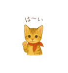 子猫のとらの日常スタンプ（個別スタンプ：25）