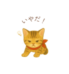 子猫のとらの日常スタンプ（個別スタンプ：26）