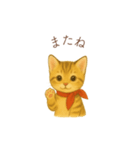 子猫のとらの日常スタンプ（個別スタンプ：27）