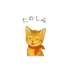 子猫のとらの日常スタンプ（個別スタンプ：29）